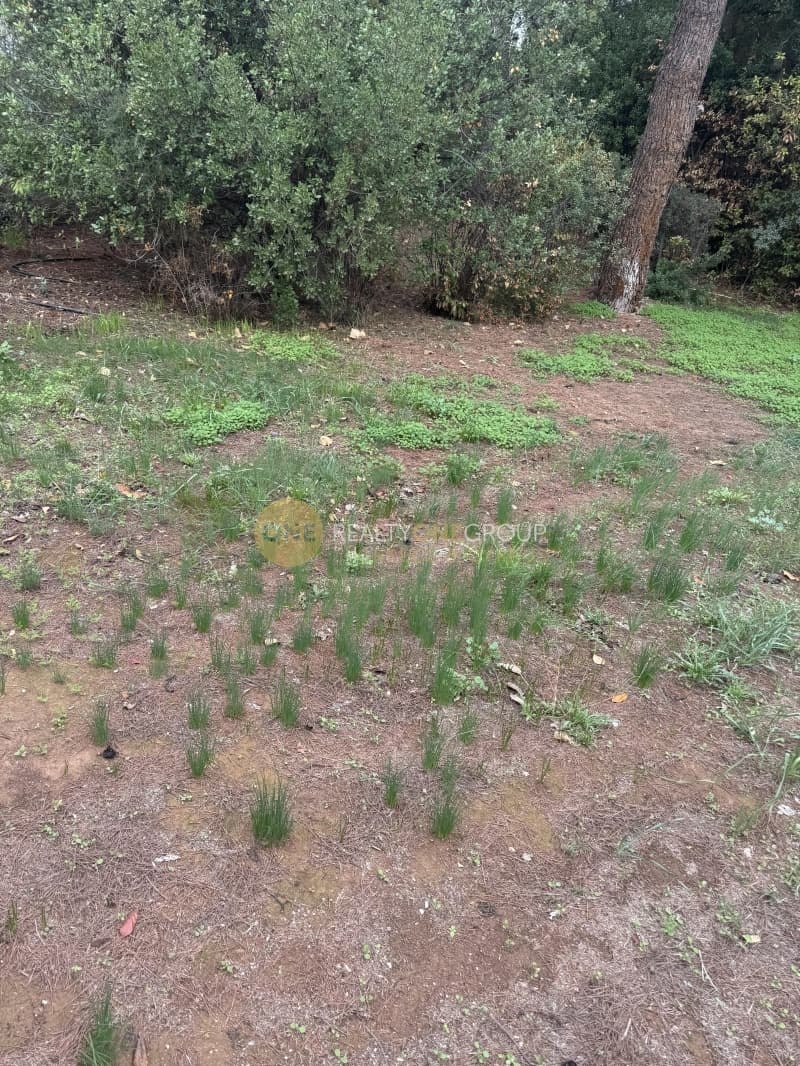 Οικόπεδο στην Αδάμες (Οικισμός Πελοποννησίων), Κηφισιά — Φωτογραφία 3 από 4