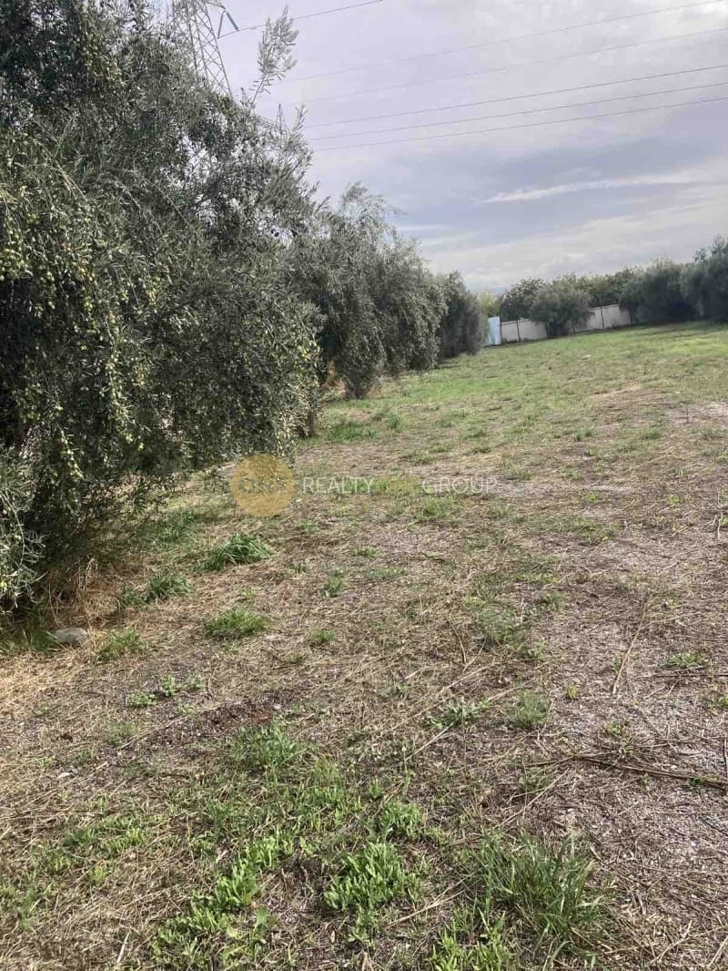 Parcel in Megala Sxoinia A, Acharnes — Photo 8 of 10