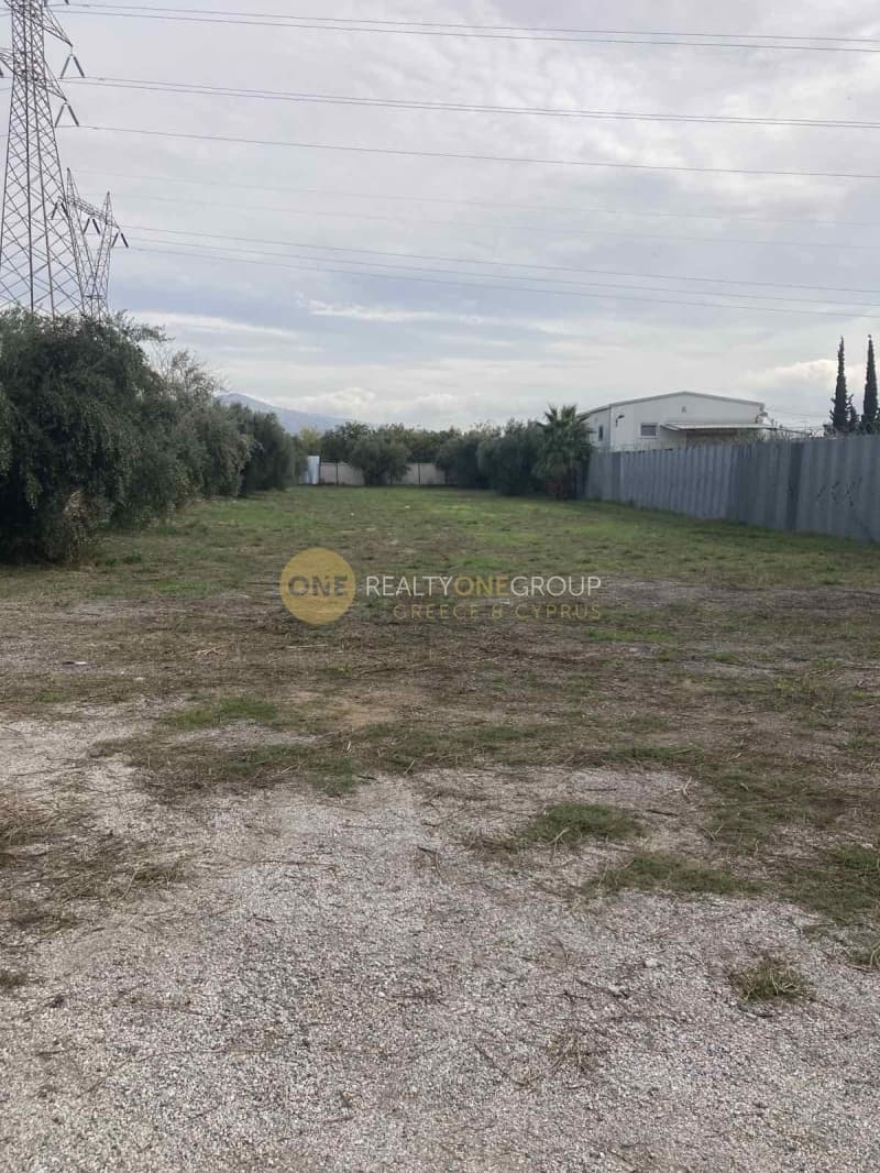 Parcel in Megala Sxoinia A, Acharnes — Photo 3 of 10