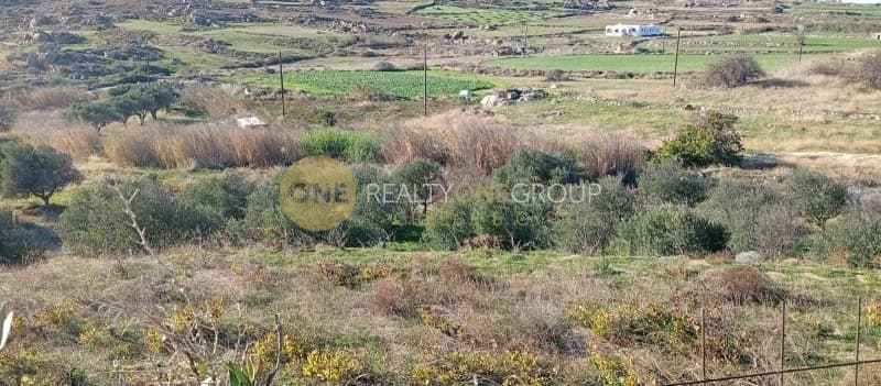 Αγροτεμάχιο στην Καστράκι, Νάξος — Φωτογραφία 6 από 6