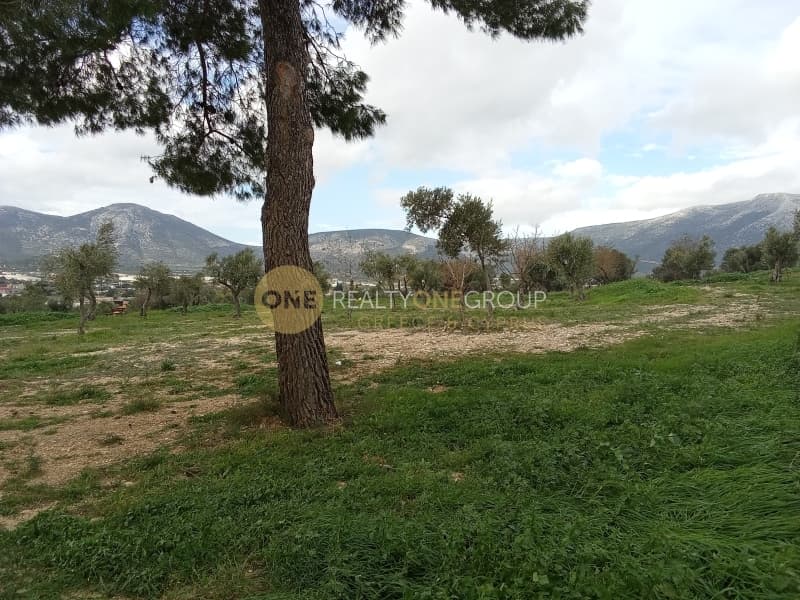 Οικόπεδο στην Κέντρο, Κορωπί — Φωτογραφία 11 από 11