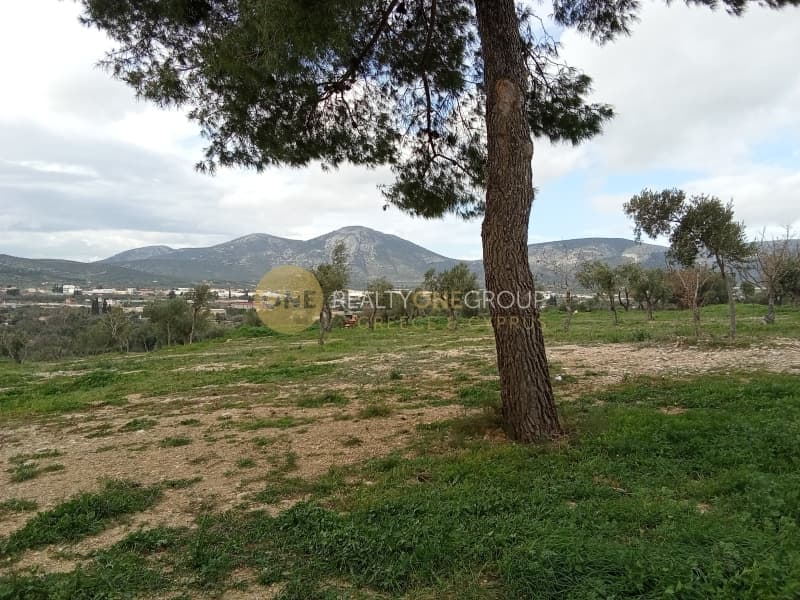 Οικόπεδο στην Κέντρο, Κορωπί — Φωτογραφία 10 από 11