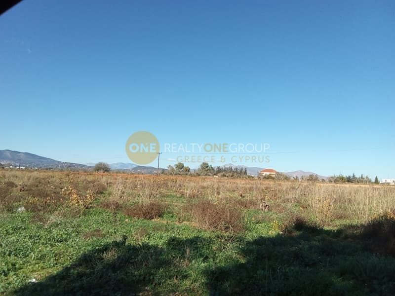 Building Plot in Center, Markopoulo — Photo 1 of 2