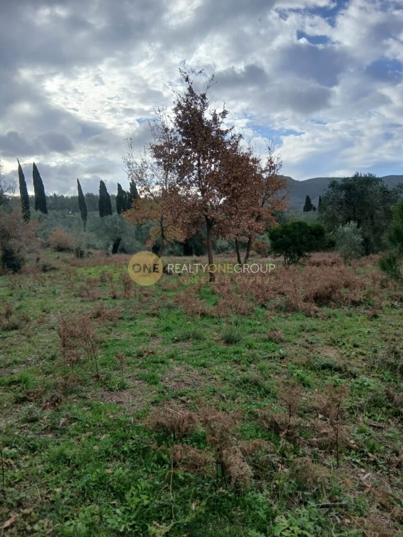 Parcel in Palaiokastritsa, Corfu — Photo 4 of 14
