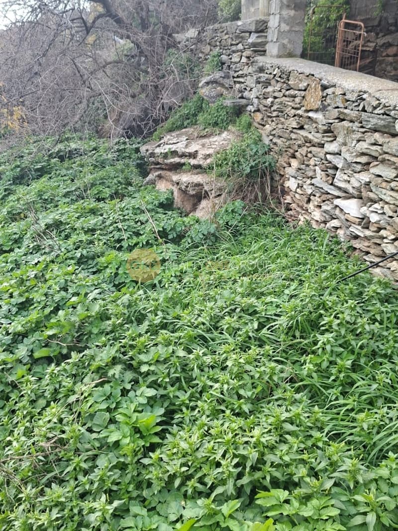 Οικόπεδο στην Μένητες, Άνδρος — Φωτογραφία 6 από 21
