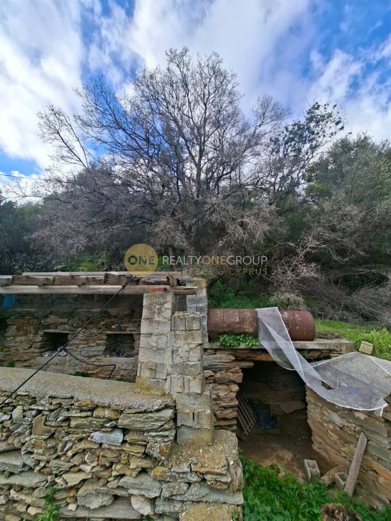 Οικόπεδο στην Μένητες, Άνδρος — Φωτογραφία 15 από 21