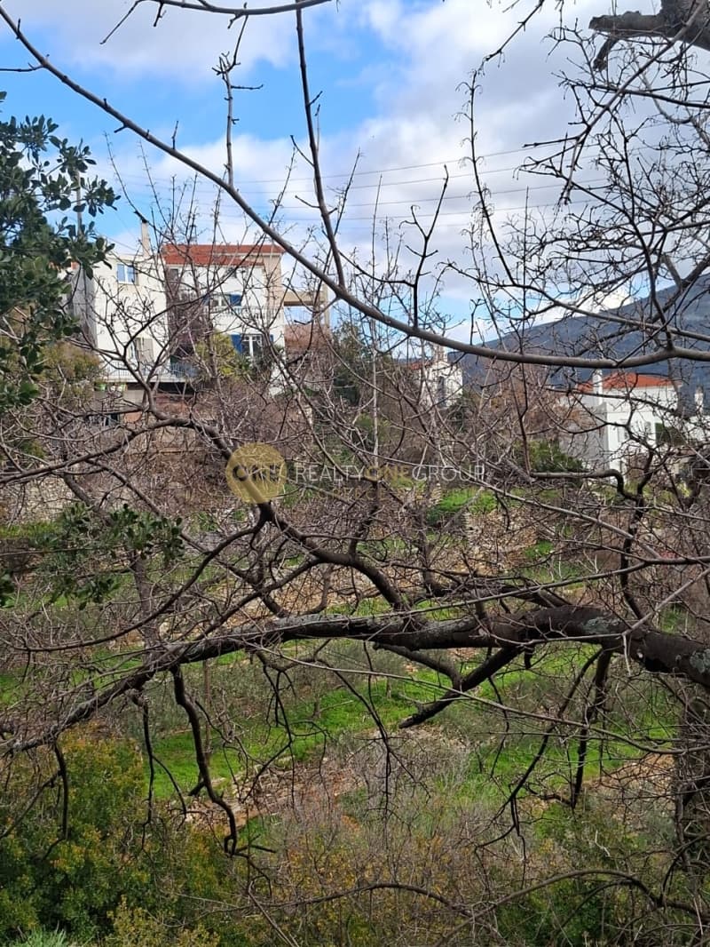Οικόπεδο στην Μένητες, Άνδρος — Φωτογραφία 8 από 21