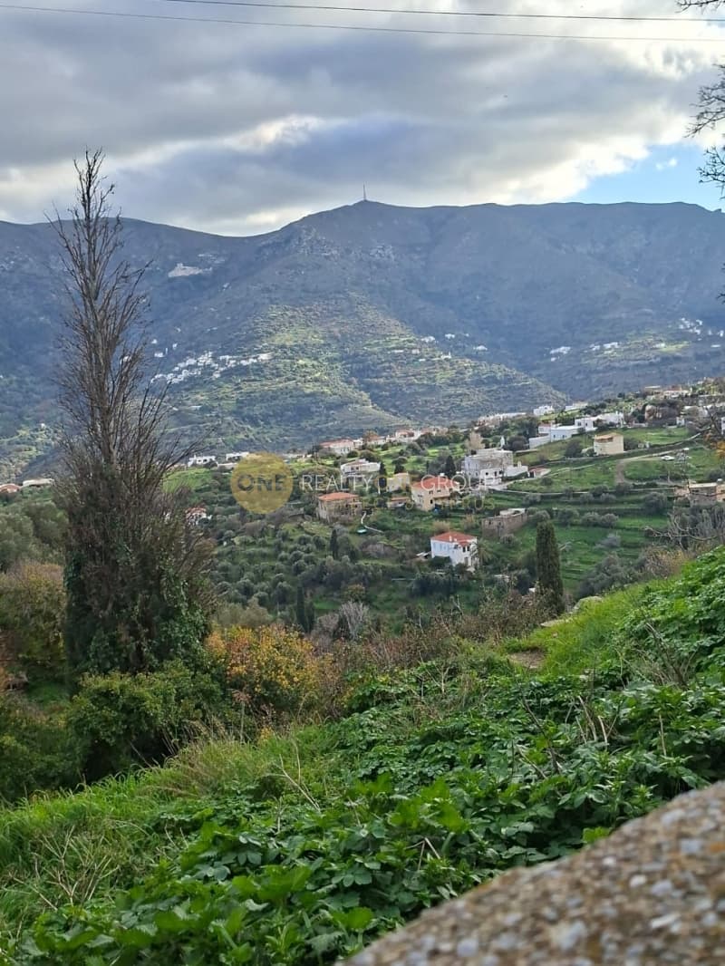 Οικόπεδο στην Μένητες, Άνδρος — Φωτογραφία 7 από 21