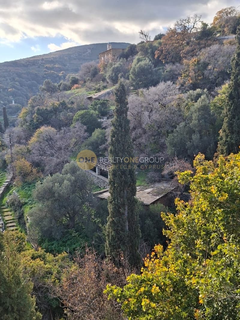 Οικόπεδο στην Μένητες, Άνδρος — Φωτογραφία 13 από 21