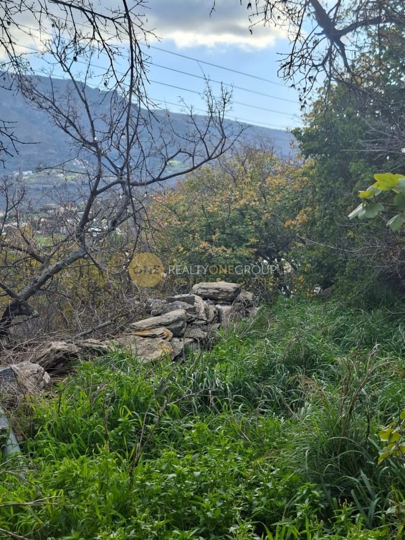 Οικόπεδο στην Μένητες, Άνδρος — Φωτογραφία 17 από 21