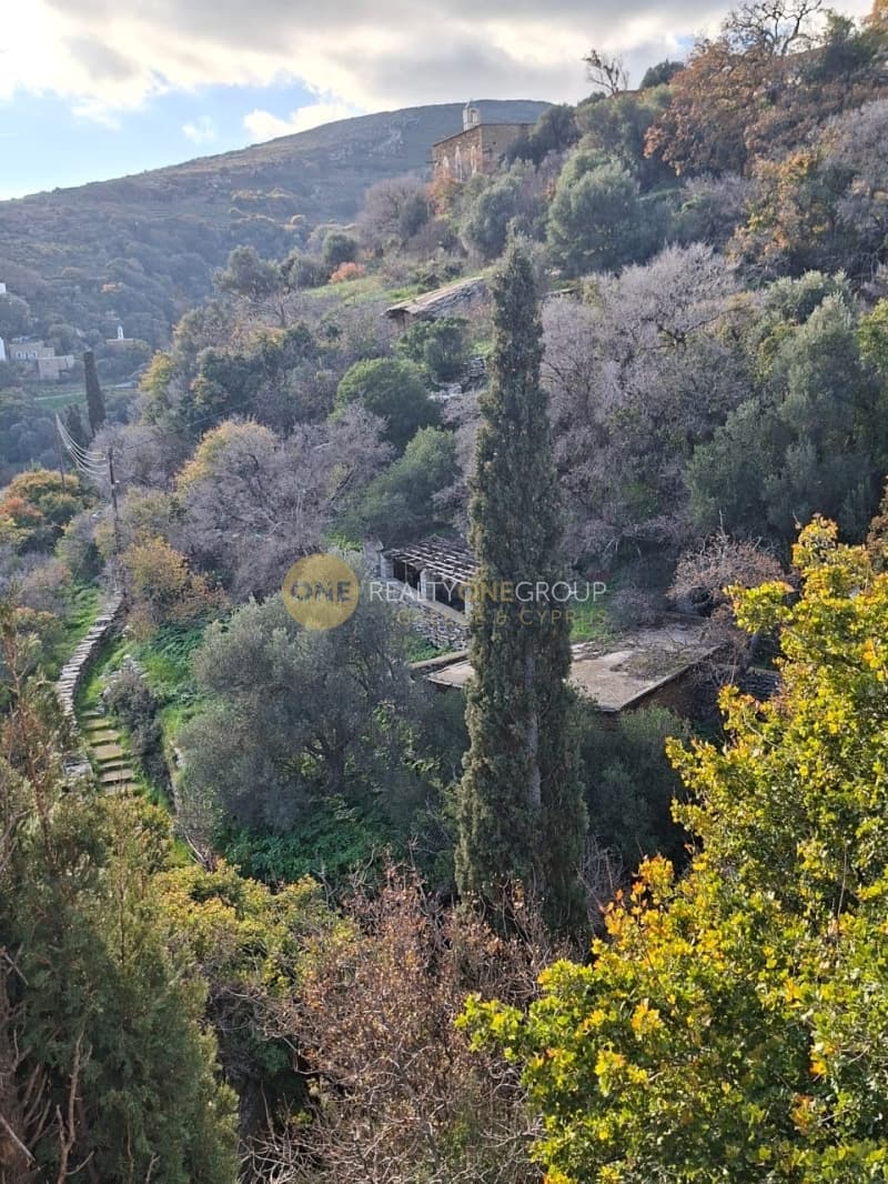 Οικόπεδο στην Μένητες, Άνδρος — Φωτογραφία 12 από 21