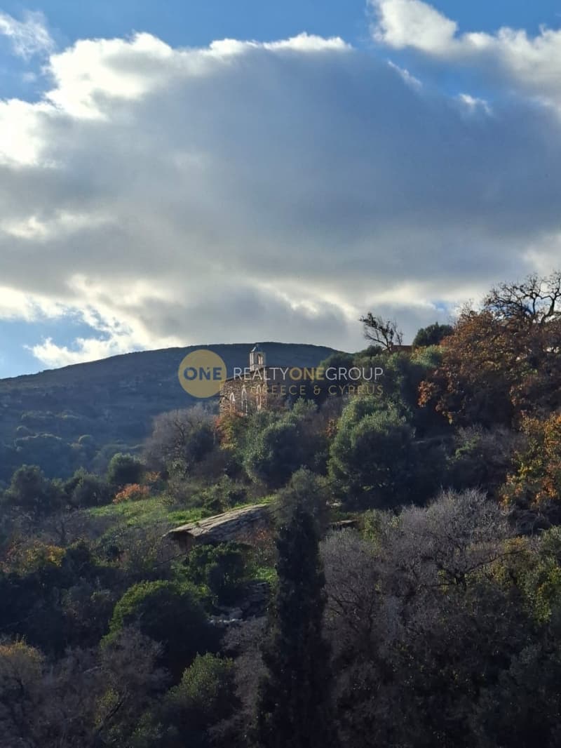 Οικόπεδο στην Μένητες, Άνδρος — Φωτογραφία 21 από 21