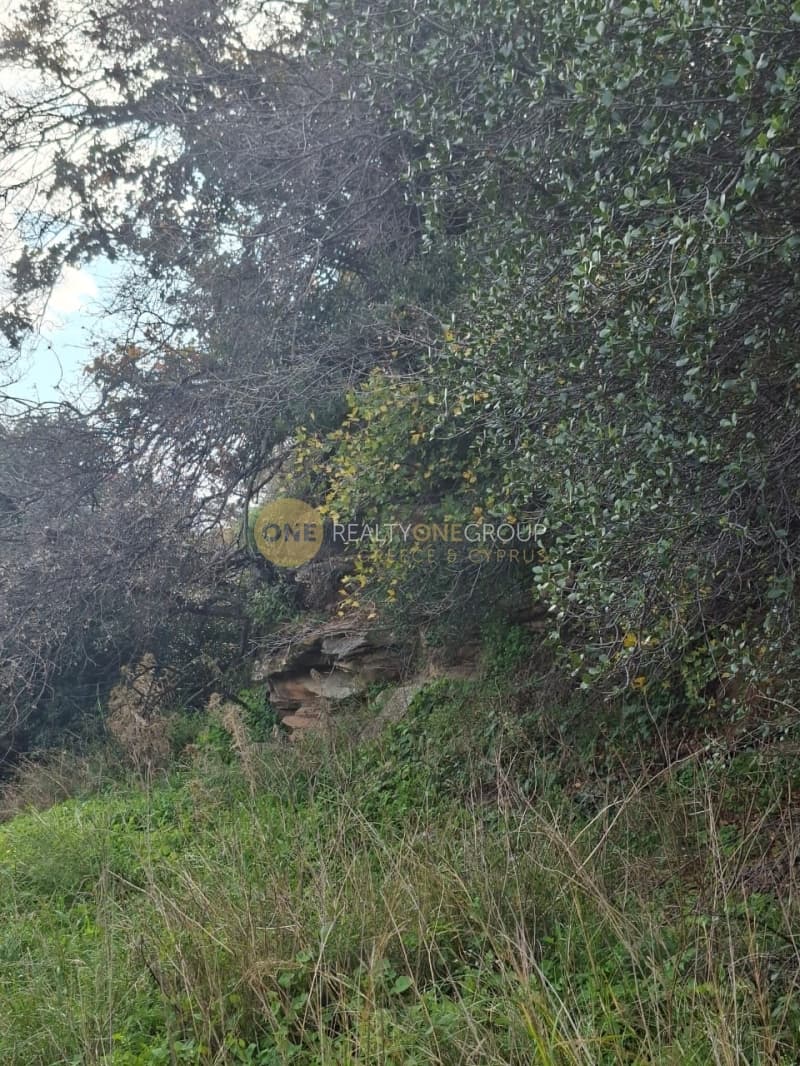 Οικόπεδο στην Μένητες, Άνδρος — Φωτογραφία 10 από 21