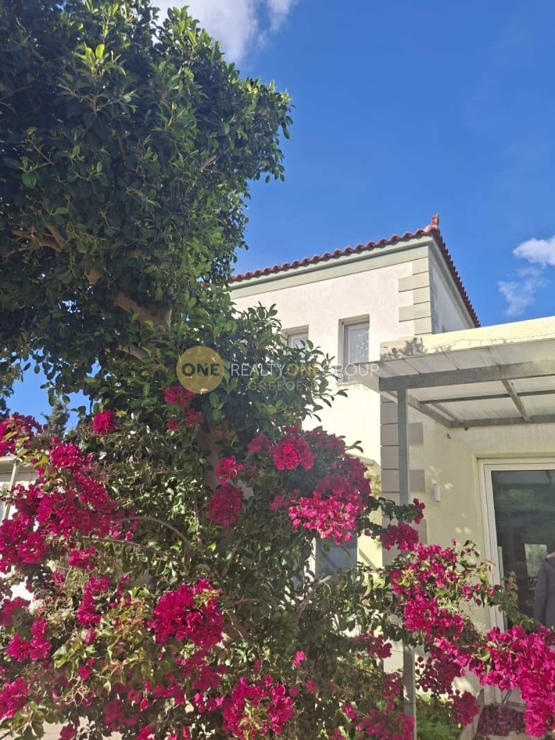 Μονοκατοικία στην Όρμος Κορθίου, Άνδρος — Φωτογραφία 30 από 30