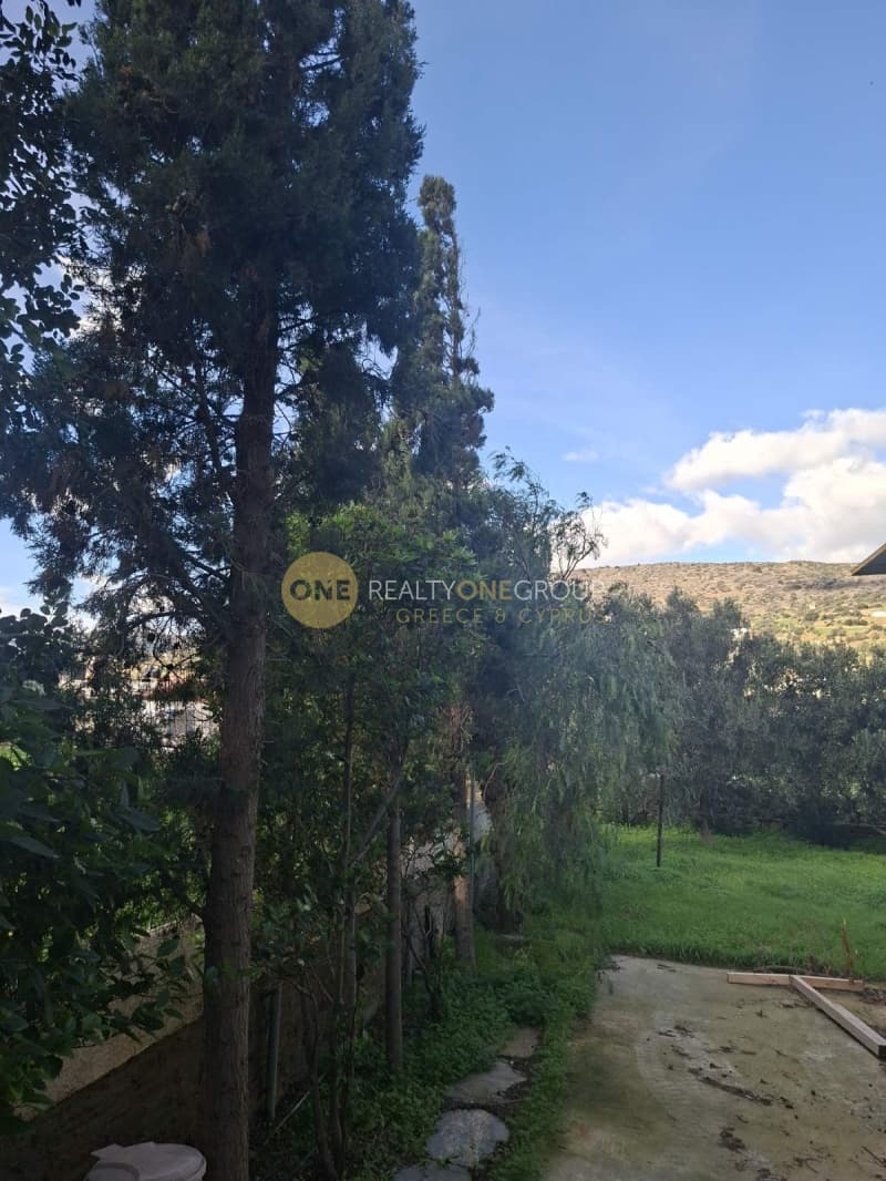 Μονοκατοικία στην Όρμος Κορθίου, Άνδρος — Φωτογραφία 24 από 30