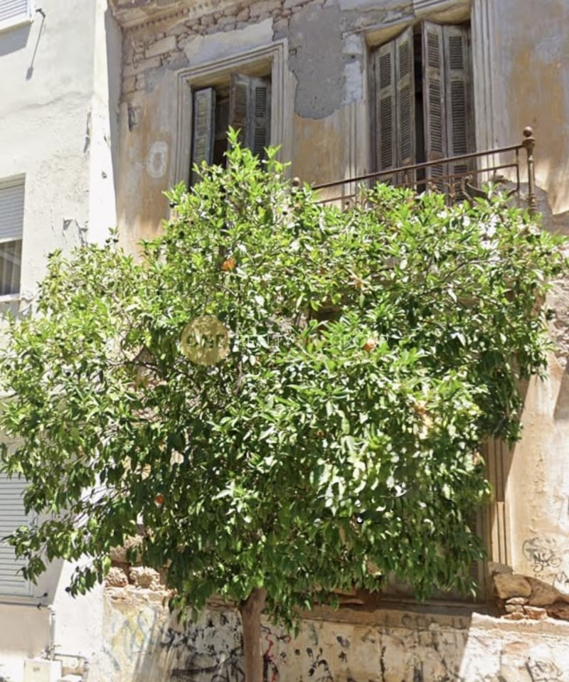 House in Pasalimani, Piraeus — Photo 5 of 5