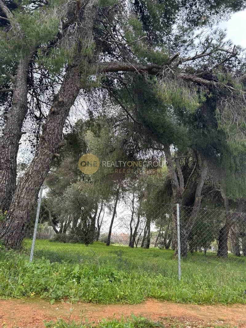 Οικόπεδο στην Κεφαλάρι, Κηφισιά — Φωτογραφία 6 από 9
