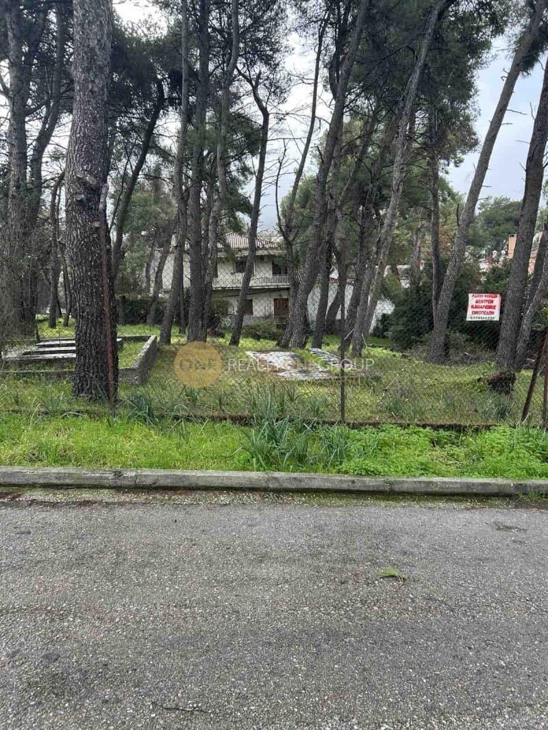 Οικόπεδο στην Κεφαλάρι, Κηφισιά — Φωτογραφία 1 από 9
