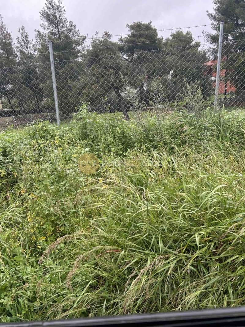 Οικόπεδο στην Κεφαλάρι, Κηφισιά — Φωτογραφία 6 από 9