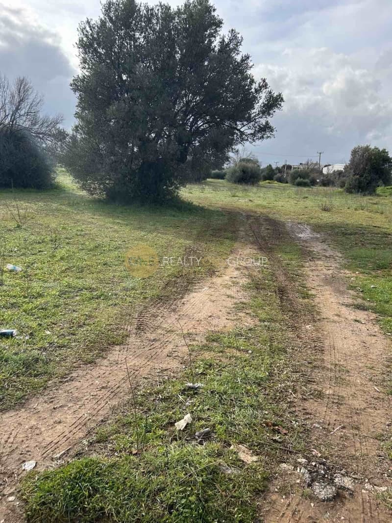 Οικόπεδο στην Κεφαλάρι, Κηφισιά — Φωτογραφία 5 από 9