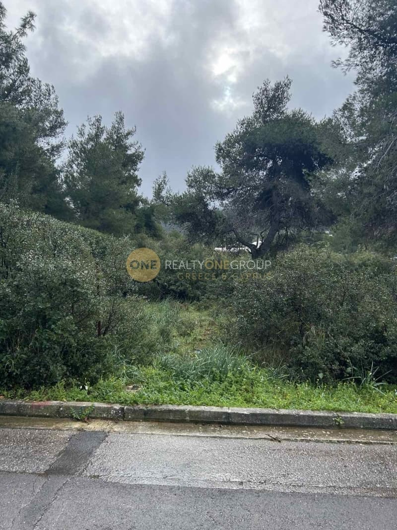 Οικόπεδο στην Κεφαλάρι, Κηφισιά — Φωτογραφία 6 από 12