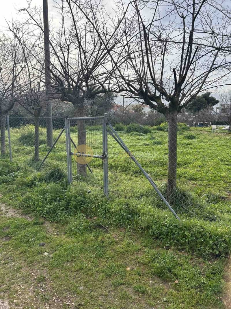 Building Plot in Adames Oikismos Peloponnision, Kifisia — Photo 5 of 18