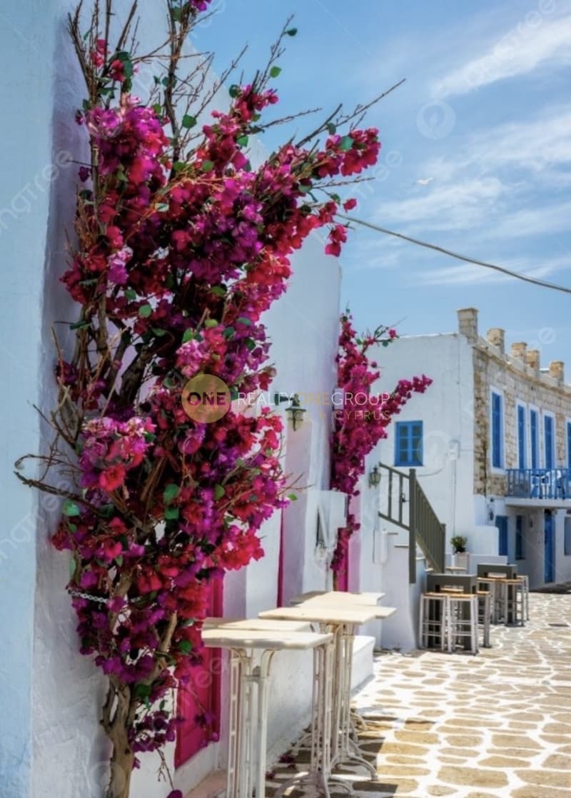 Αγροτεμάχιο στην Πρόδρομος, Πάρος — Φωτογραφία 2 από 7
