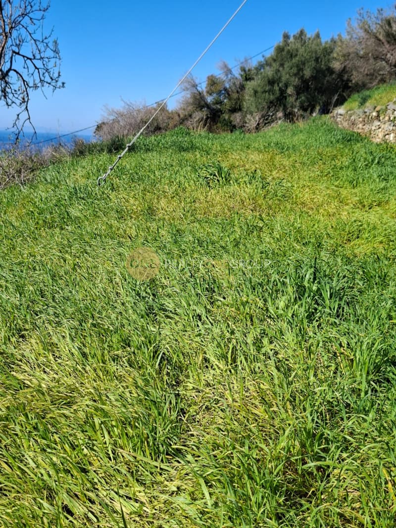 Οικόπεδο στην Παλαιόπολη, Άνδρος — Φωτογραφία 5 από 29