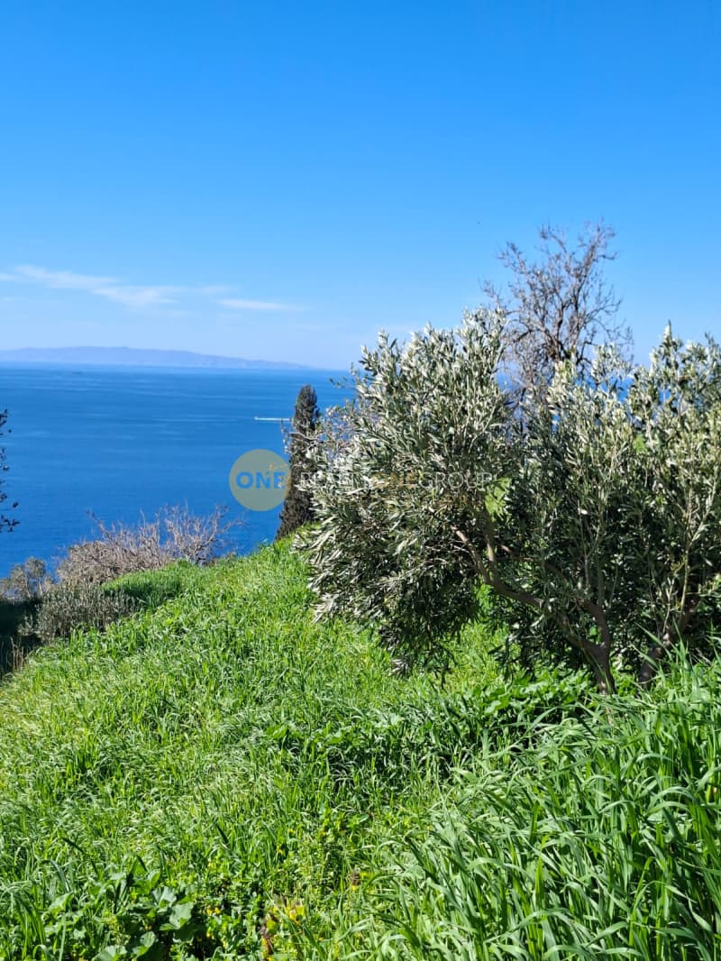 Οικόπεδο στην Παλαιόπολη, Άνδρος — Φωτογραφία 1 από 29