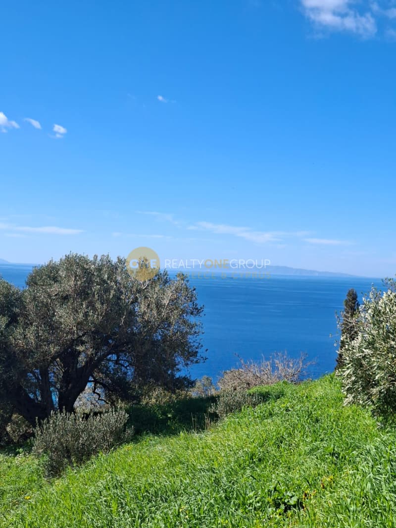 Οικόπεδο στην Παλαιόπολη, Άνδρος — Φωτογραφία 8 από 29
