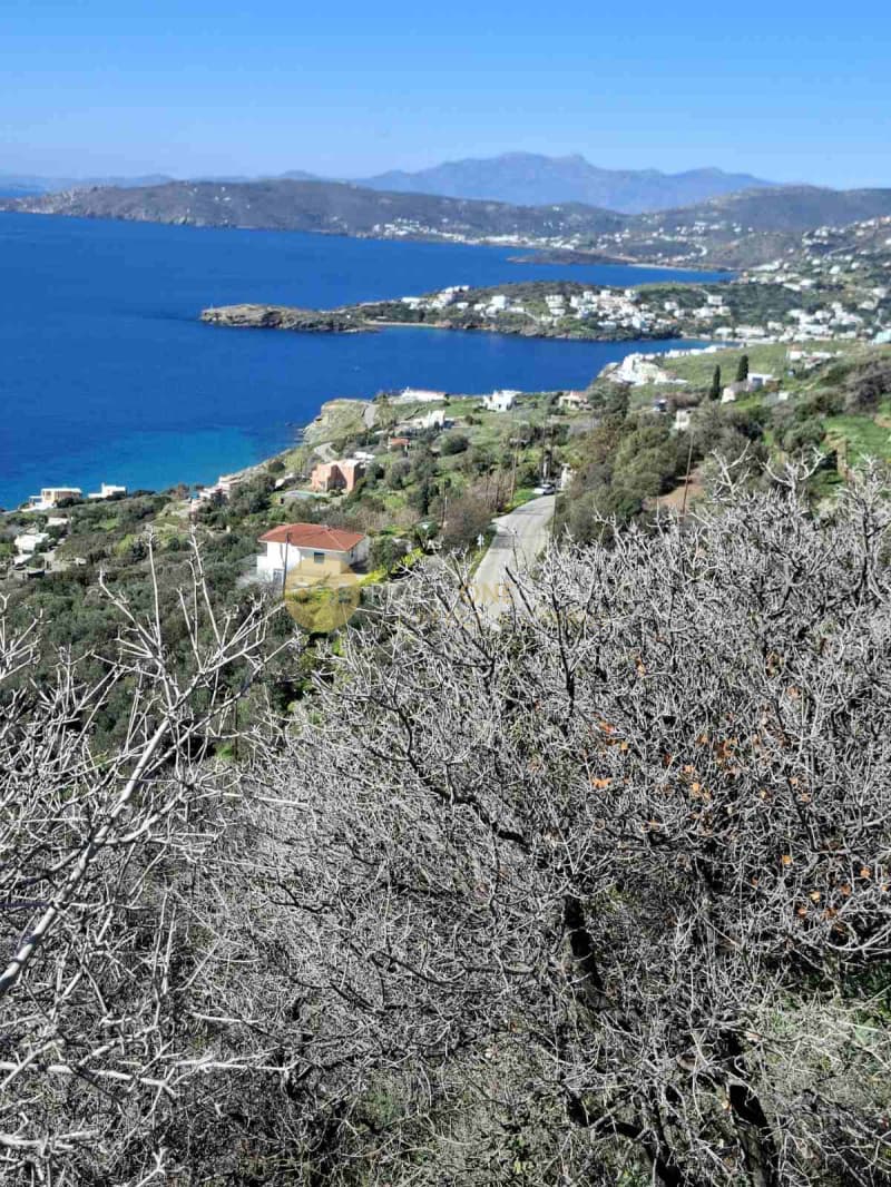 Οικόπεδο στην Άνω Απρόβατο, Άνδρος — Φωτογραφία 10 από 21
