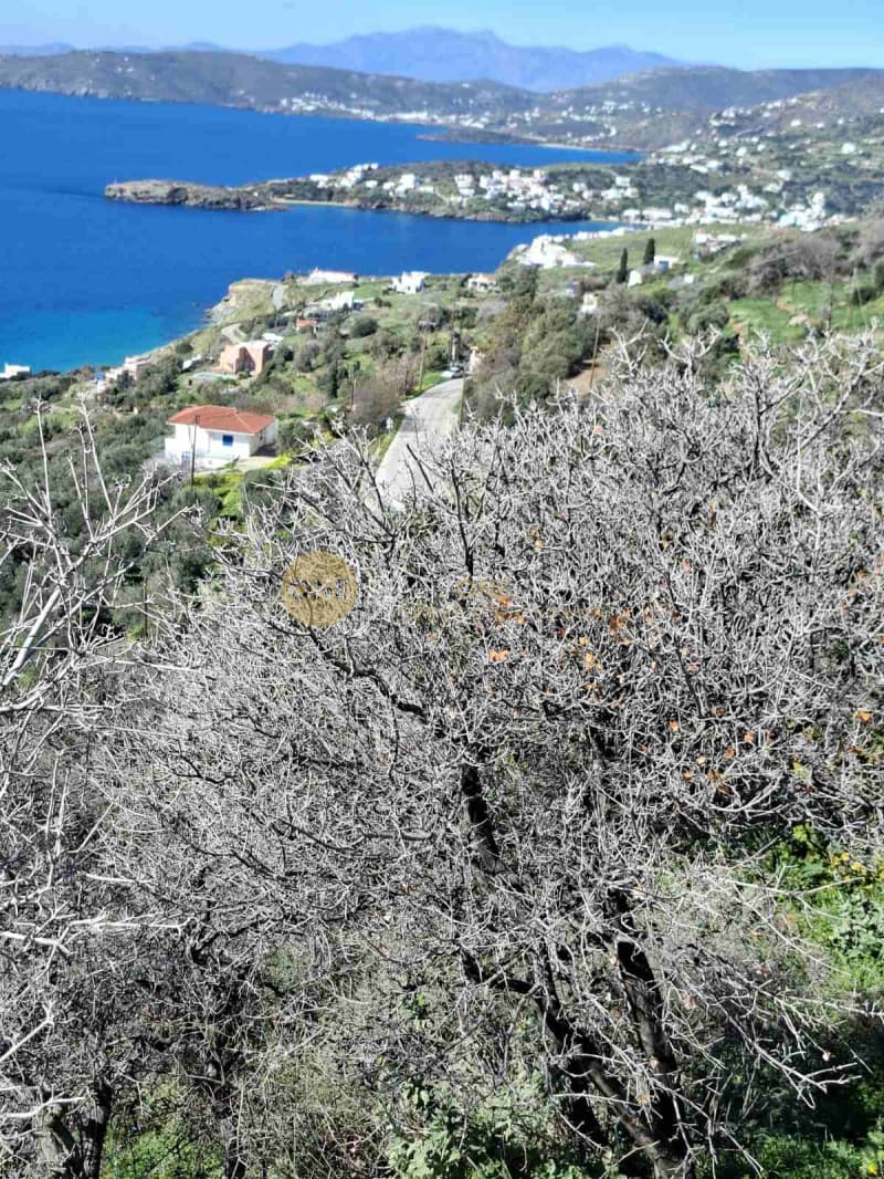 Οικόπεδο στην Άνω Απρόβατο, Άνδρος — Φωτογραφία 11 από 21