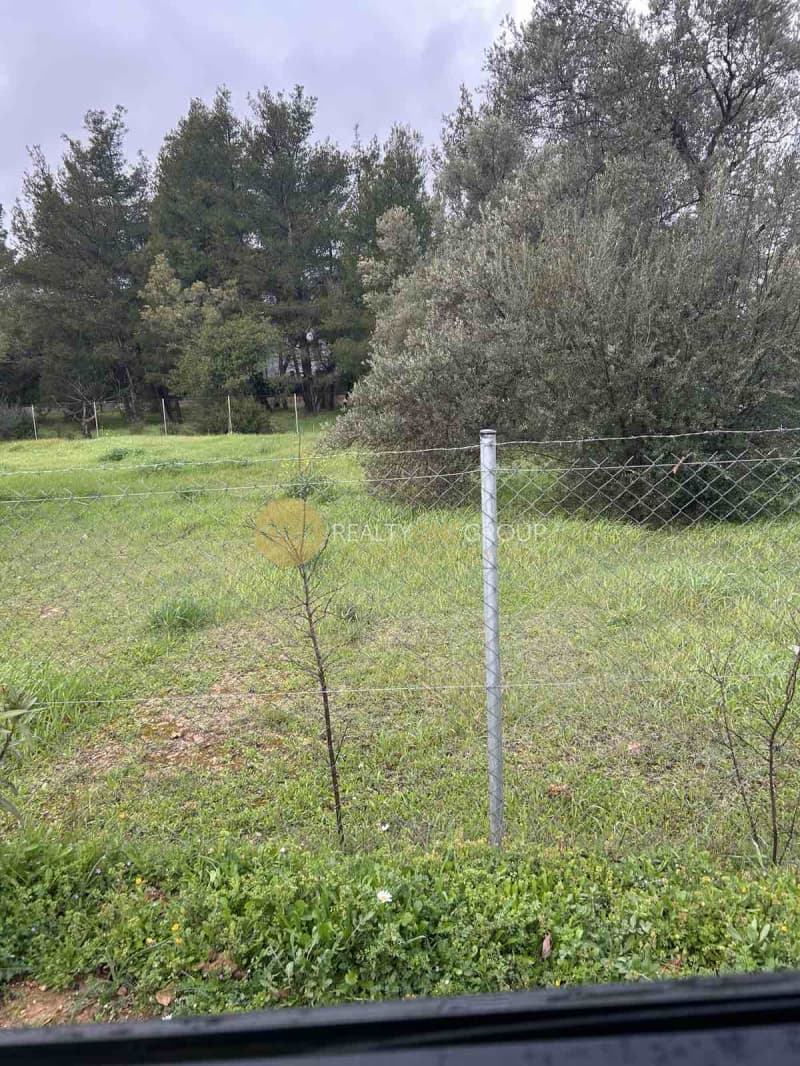 Building Plot in Anoixi, Anoixi — Photo 2 of 9