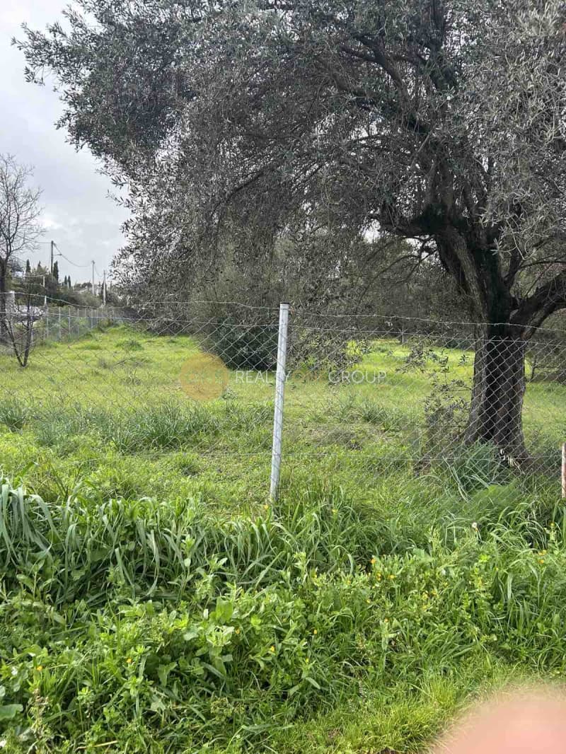 Building Plot in Anoixi, Anoixi — Photo 1 of 9