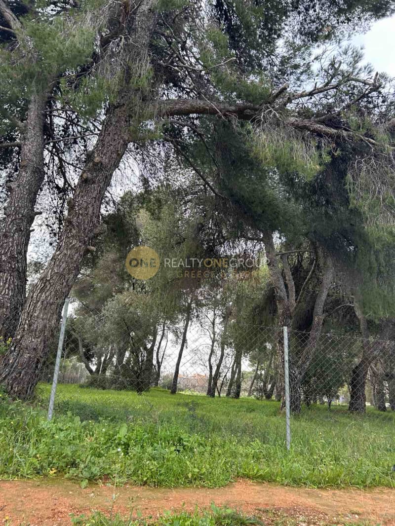 Building Plot in Center, Kifisia — Photo 10 of 10