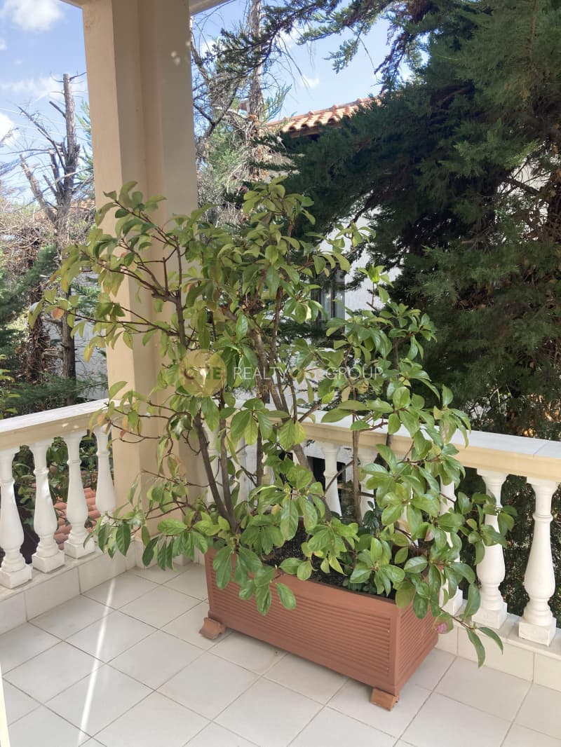 Μονοκατοικία στην Άνω Κηφισιά, Μελίσσια — Φωτογραφία 12 από 30