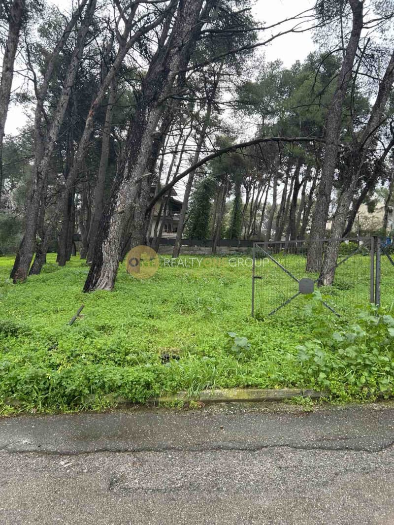 Building Plot in Adames Oikismos Grammos - Foinikas, Kifisia — Photo 14 of 15