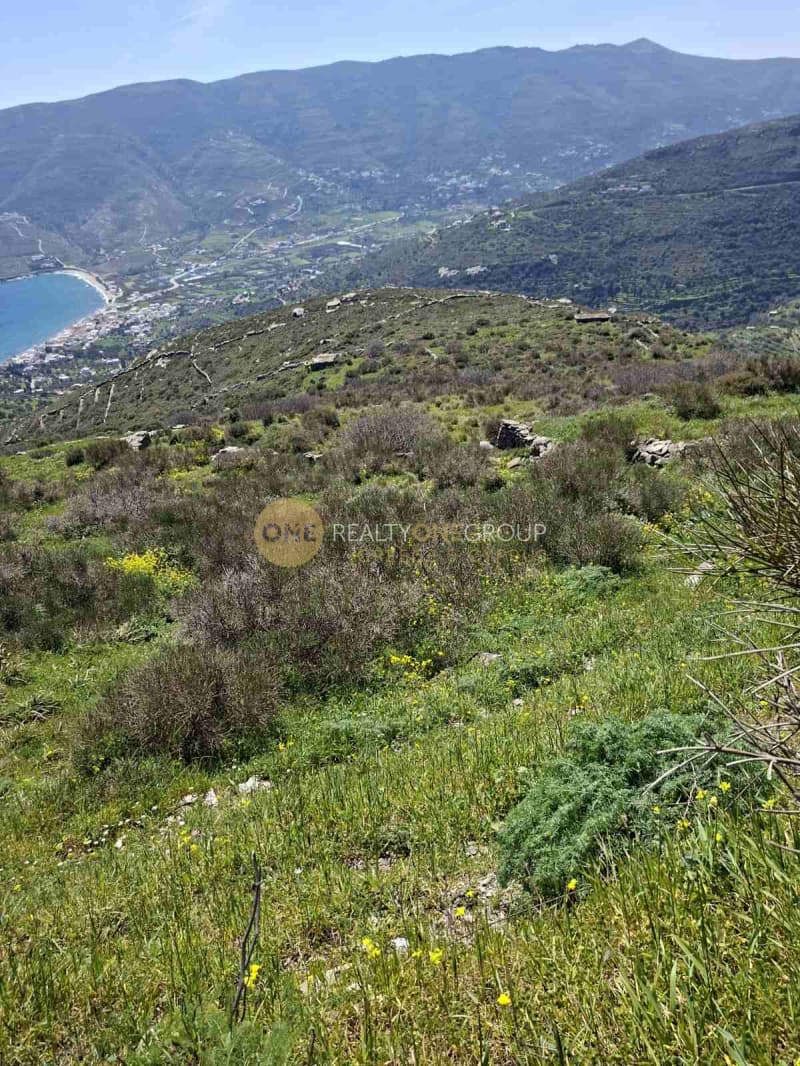 Αγροτεμάχιο στην Κόρθι, Άνδρος — Φωτογραφία 24 από 30
