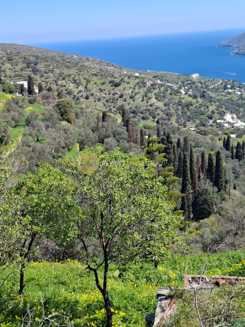 Αγροτεμάχιο στην Κόρθι, Άνδρος — Φωτογραφία 5 από 30