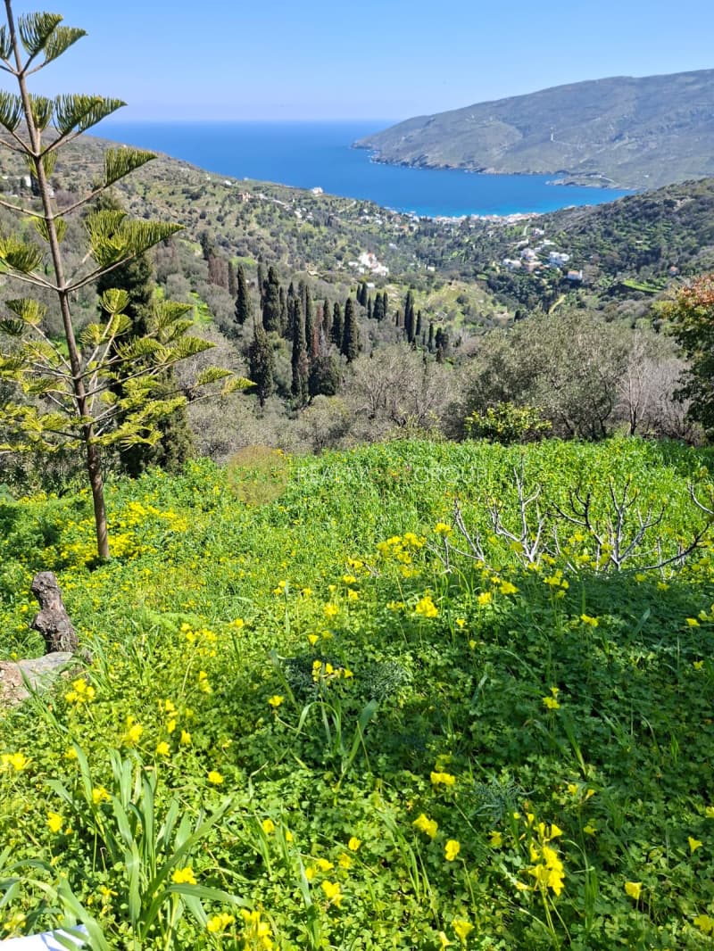 Αγροτεμάχιο στην Κόρθι, Άνδρος — Φωτογραφία 19 από 30