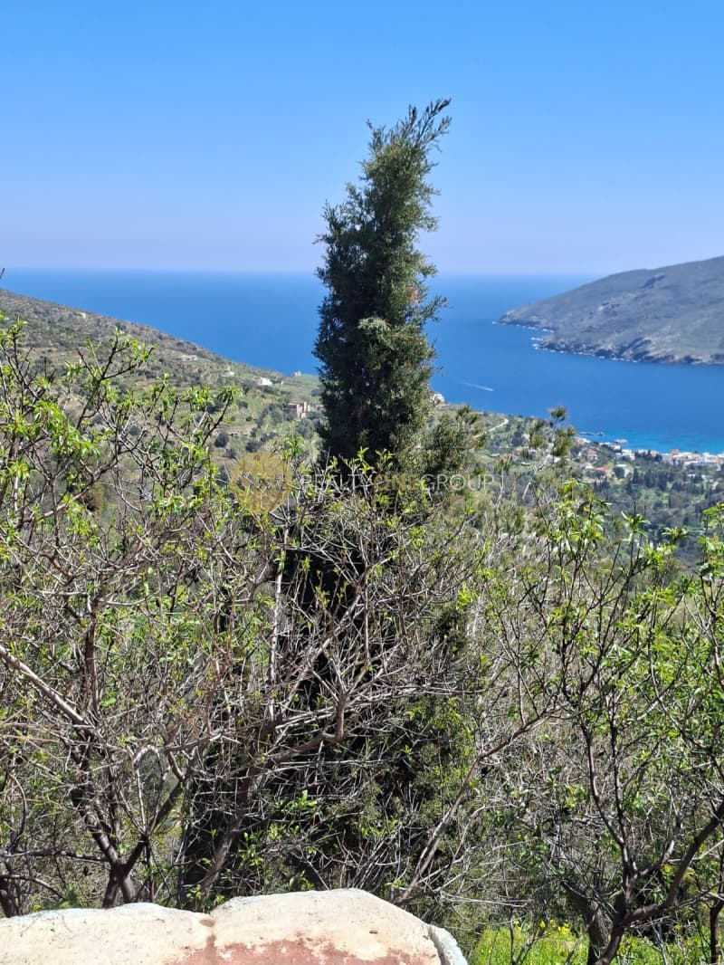 Αγροτεμάχιο στην Κόρθι, Άνδρος — Φωτογραφία 7 από 30