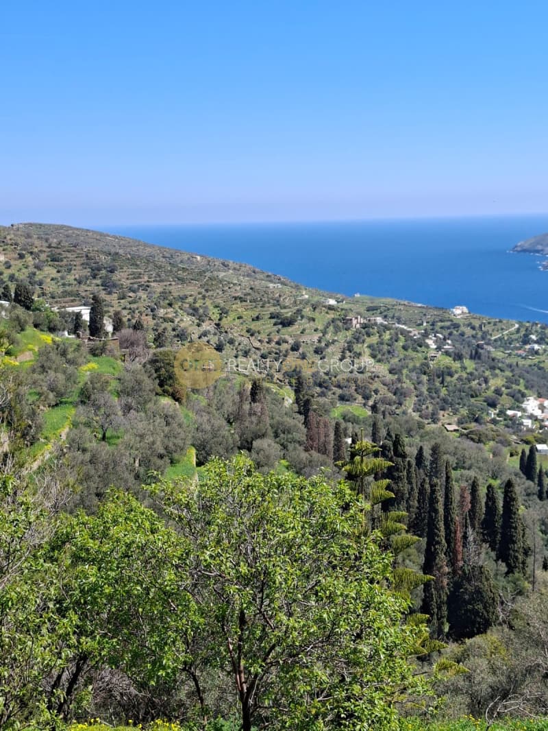 Αγροτεμάχιο στην Κόρθι, Άνδρος — Φωτογραφία 6 από 30