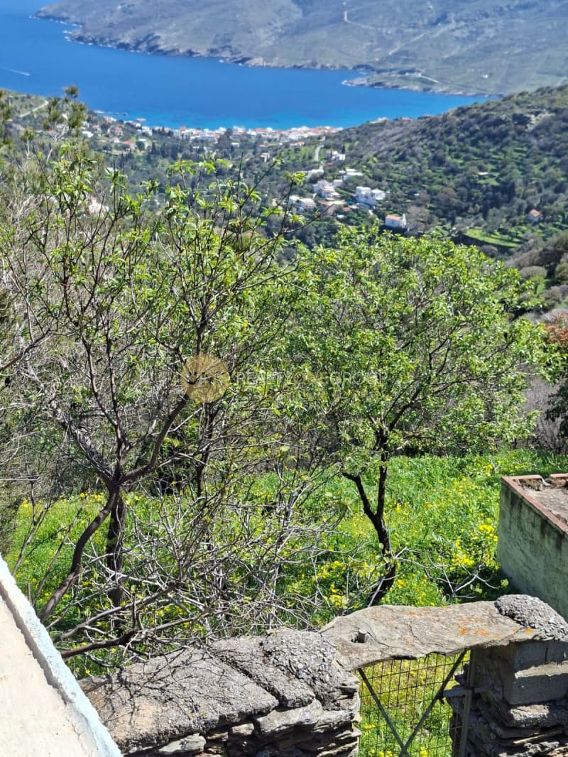 Αγροτεμάχιο στην Κόρθι, Άνδρος — Φωτογραφία 26 από 30