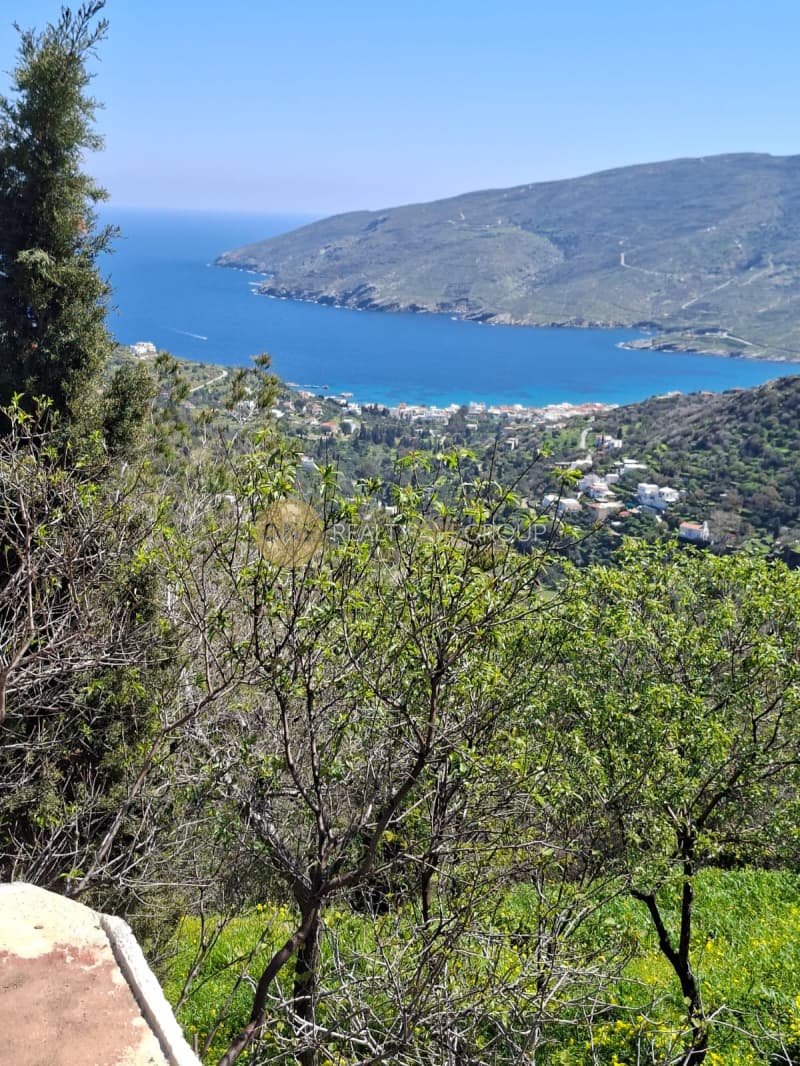 Αγροτεμάχιο στην Κόρθι, Άνδρος — Φωτογραφία 28 από 30