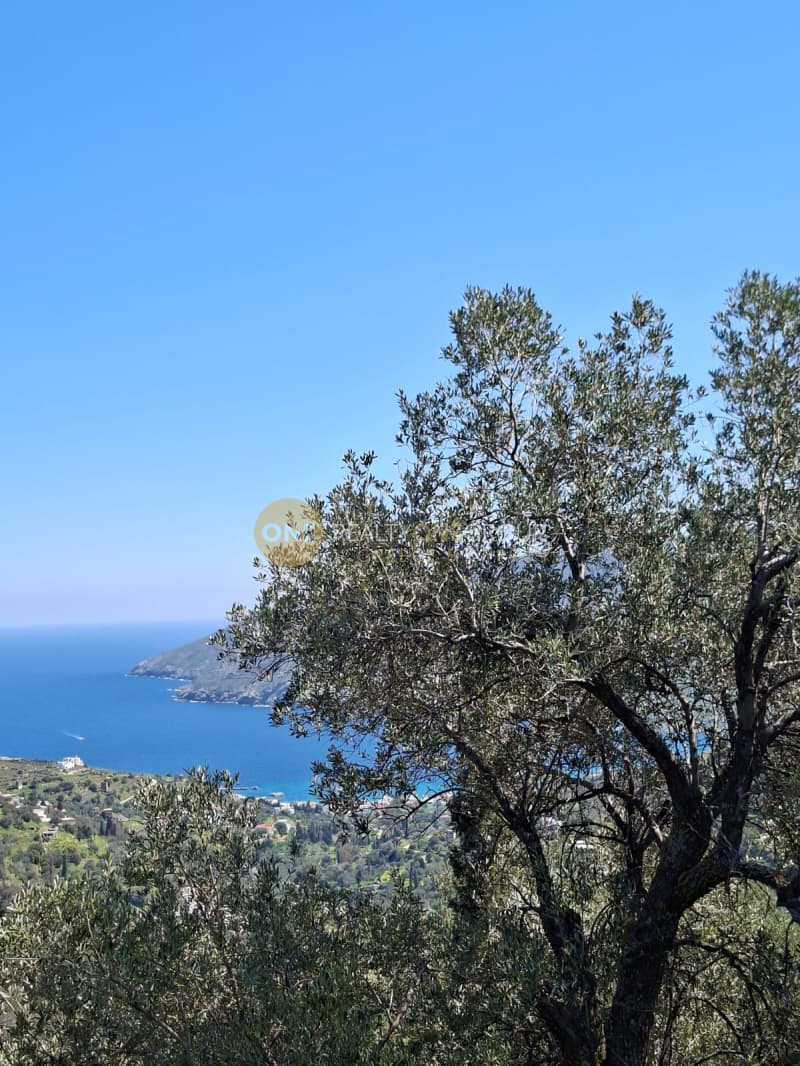 Αγροτεμάχιο στην Κόρθι, Άνδρος — Φωτογραφία 9 από 30