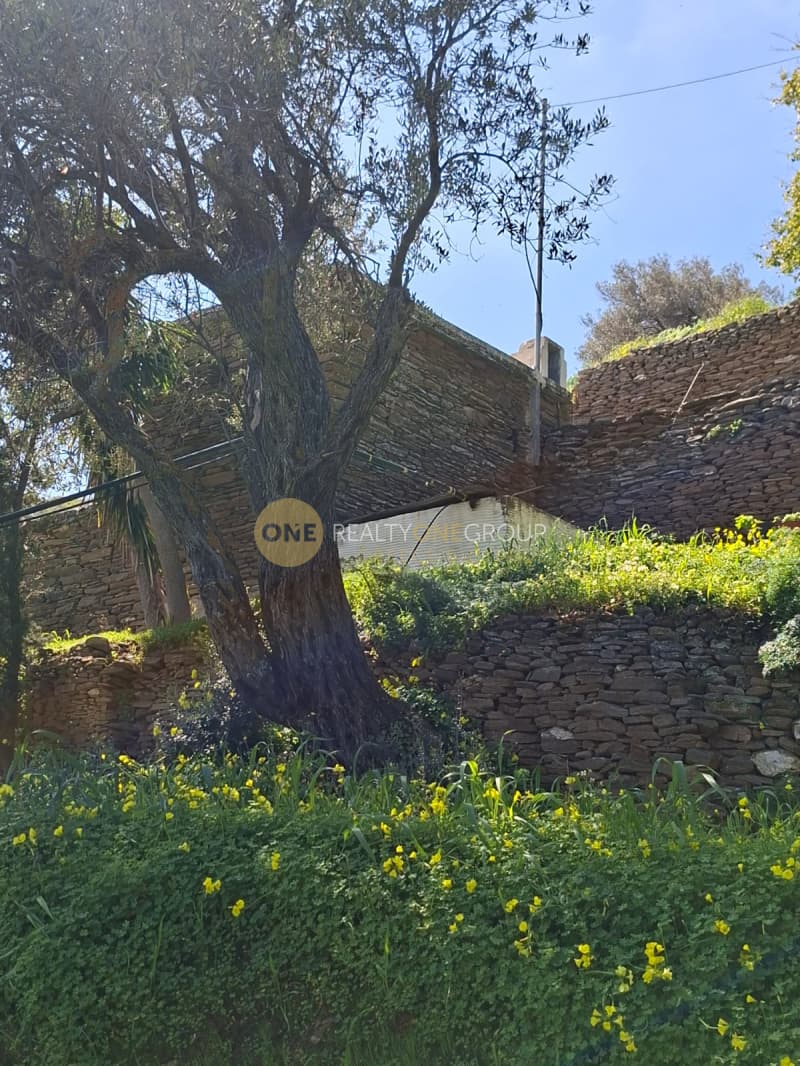 Αγροτεμάχιο στην Κόρθι, Άνδρος — Φωτογραφία 21 από 30