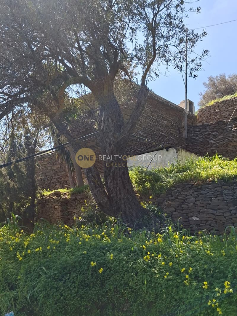 Αγροτεμάχιο στην Κόρθι, Άνδρος — Φωτογραφία 22 από 30