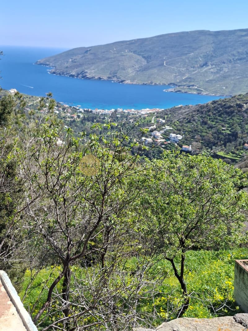 Αγροτεμάχιο στην Κόρθι, Άνδρος — Φωτογραφία 4 από 30