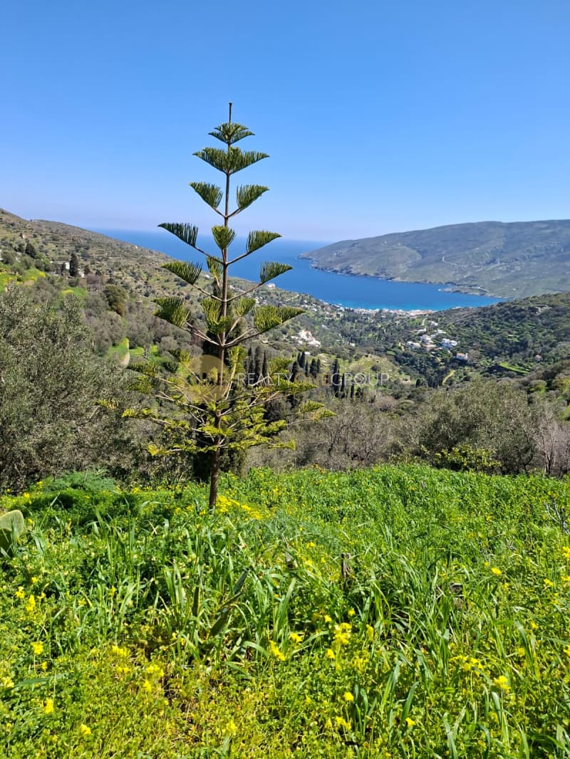 Αγροτεμάχιο στην Κόρθι, Άνδρος — Φωτογραφία 17 από 30