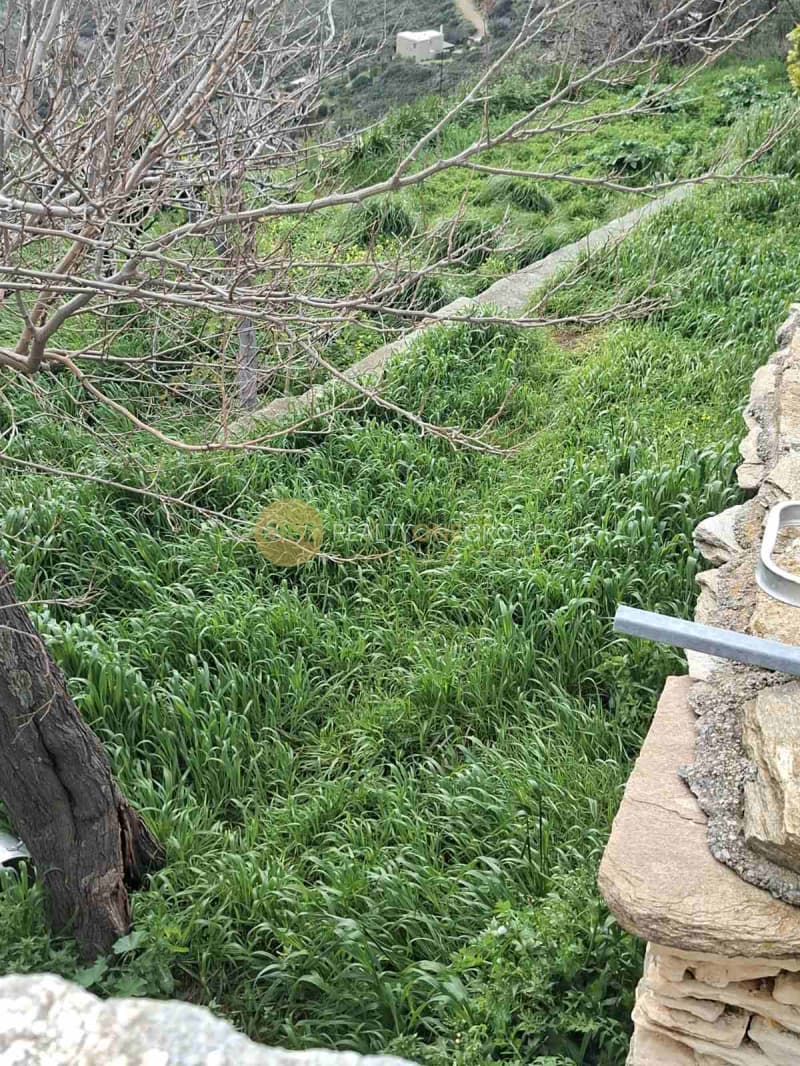 Μονοκατοικία στην Άνω Γαύριο, Άνδρος — Φωτογραφία 16 από 26